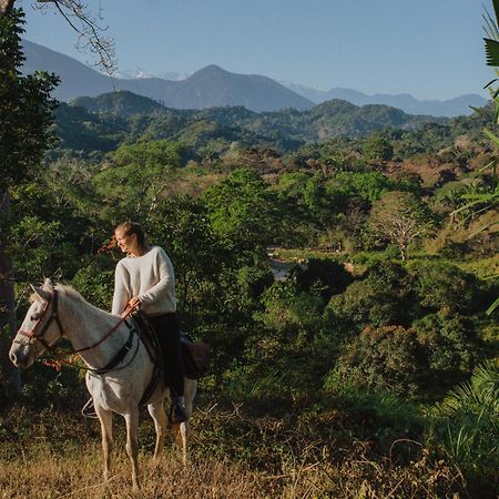 La Mona Eco Cabins ปาโลมิโน ภายนอก รูปภาพ