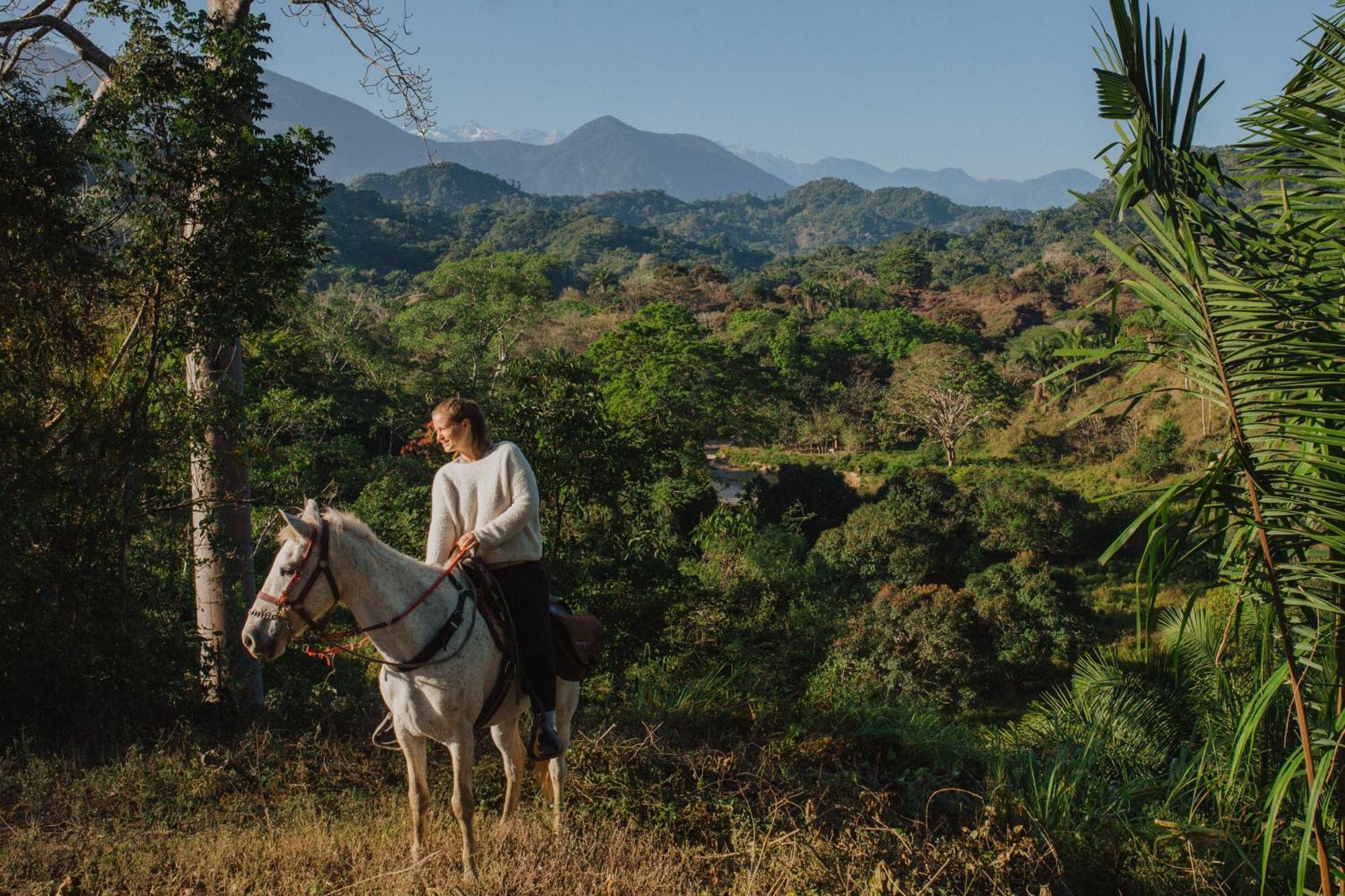 La Mona Eco Cabins ปาโลมิโน ภายนอก รูปภาพ