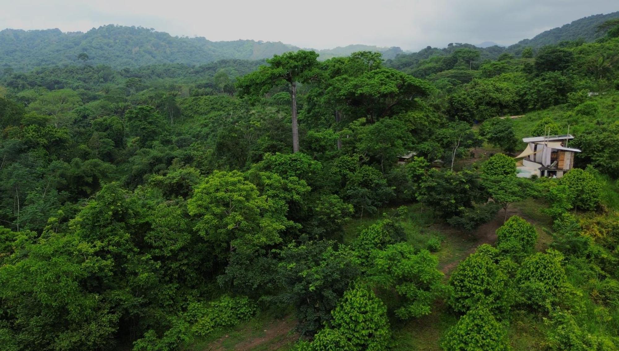 La Mona Eco Cabins ปาโลมิโน ภายนอก รูปภาพ
