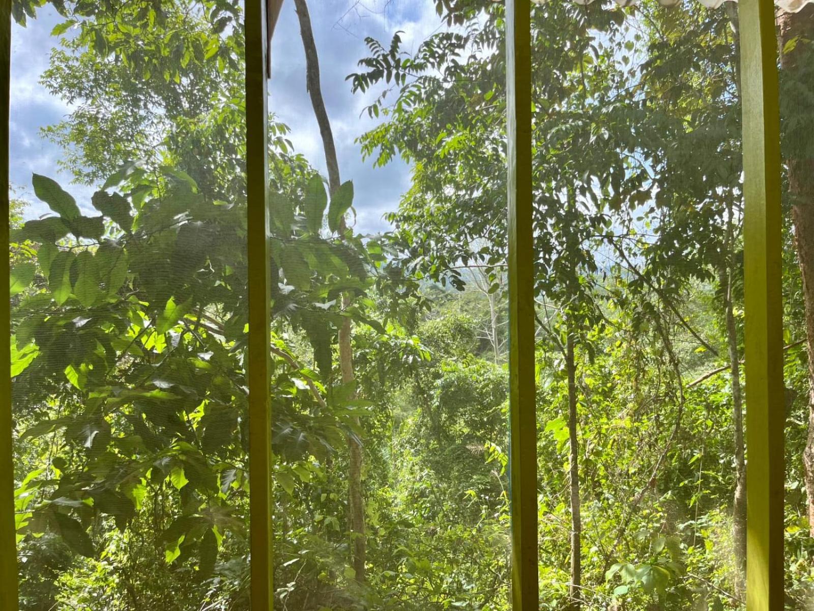 La Mona Eco Cabins ปาโลมิโน ภายนอก รูปภาพ